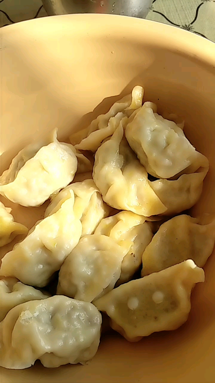 马肉馅的饺子