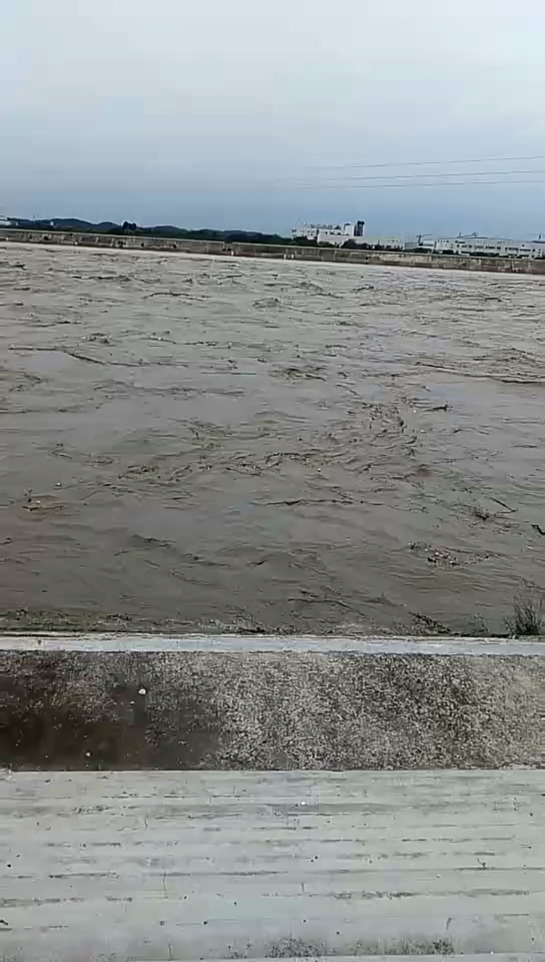 涪江涨水了,水位也太高了