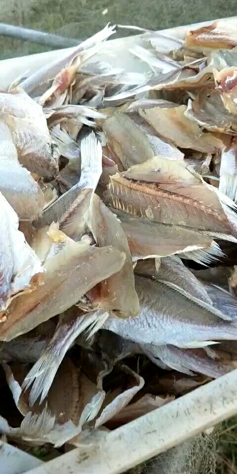 地瓜鱼,送粥好吃哦