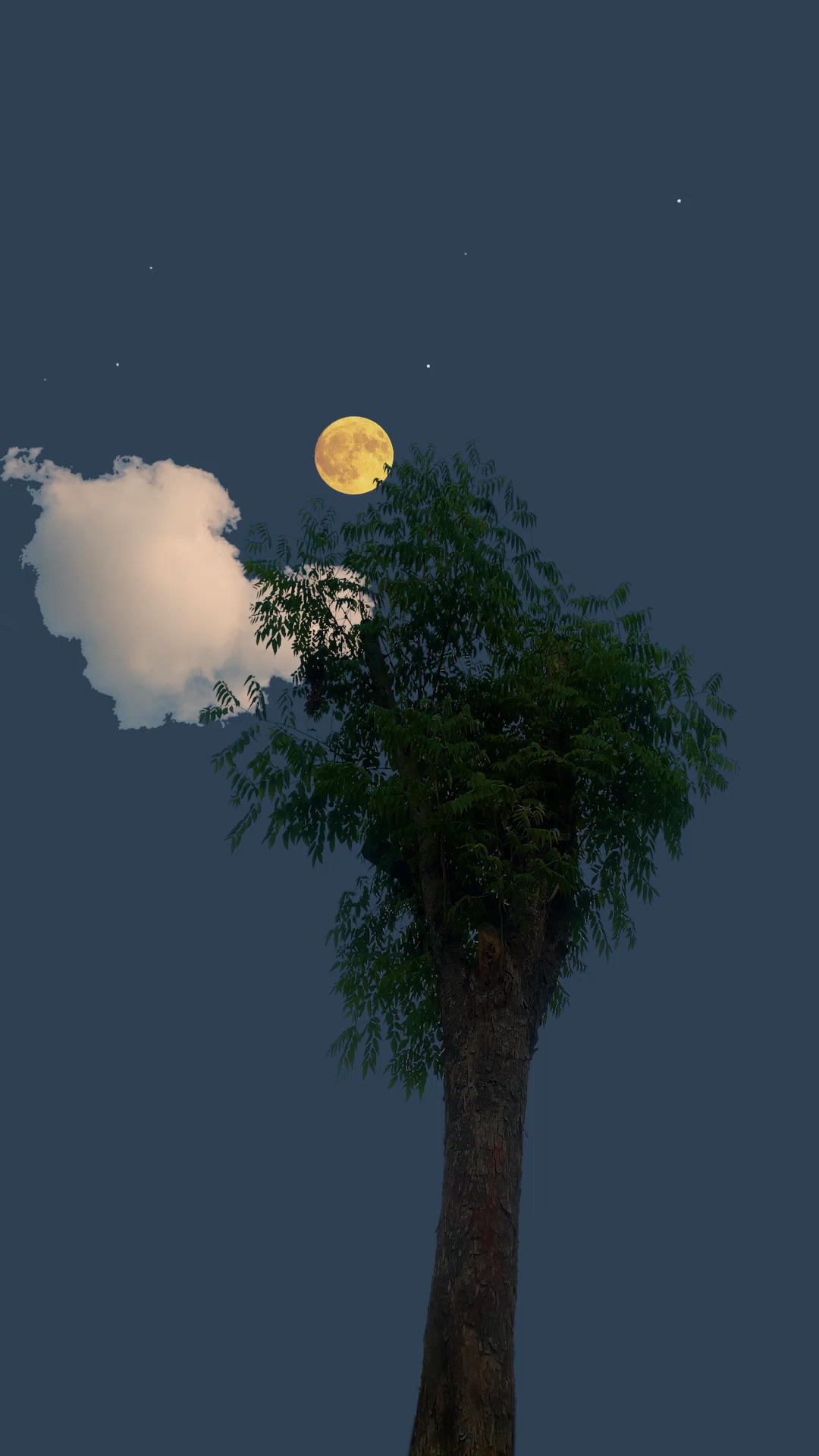 有机会的话,在夏天结束前一起看一次夜空吧.下一次再去看就要穿长衫了