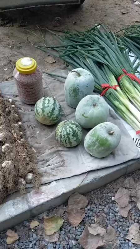 西瓜出了轨,还是冬瓜劈了腿,大集上无意拍到,嫁接技术太厉害!