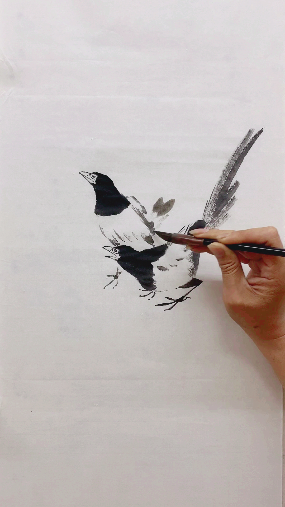 画画原来如此简单#国画喜鹊画法教程-度小视