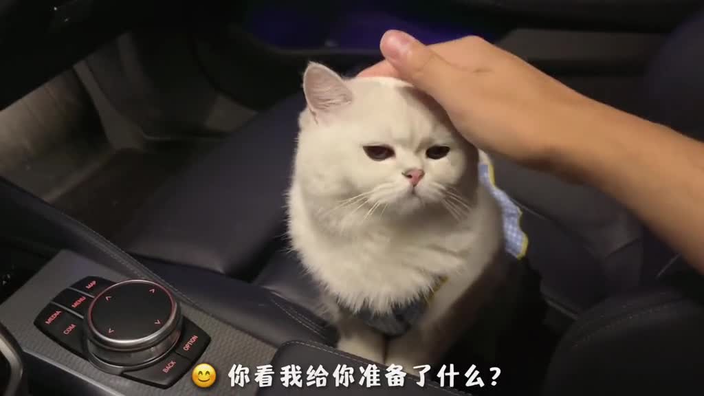 女儿的第一次惊喜和浪漫,必须是爸爸给的祝晚晚宝贝3岁生日快乐,永远