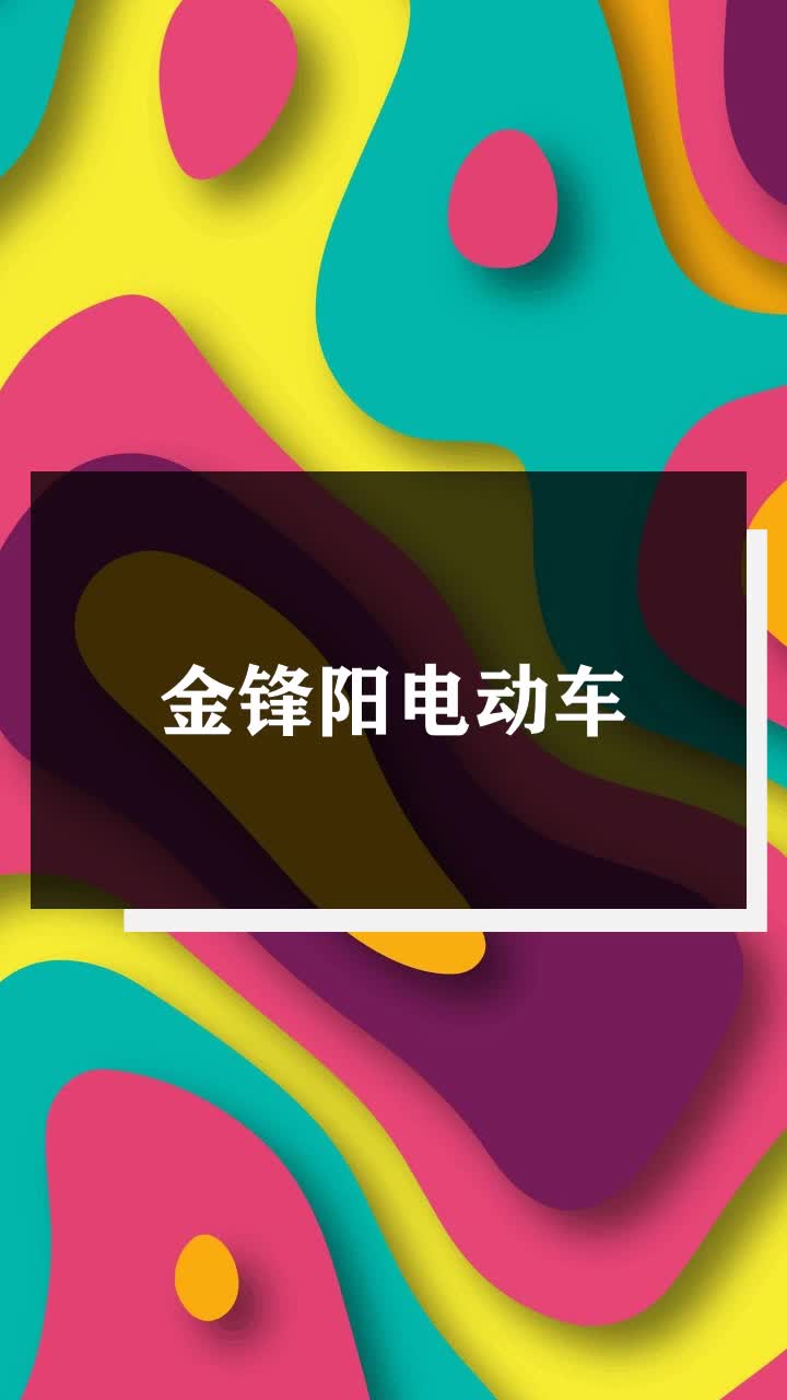 金锋阳电动车