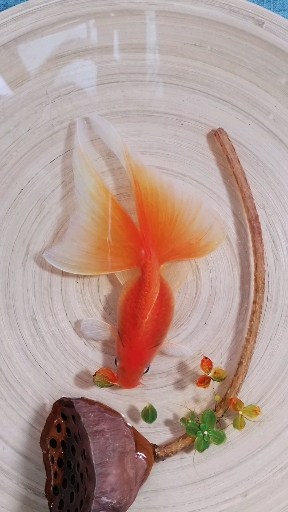 3d立体树脂画#树脂画(金鱼)