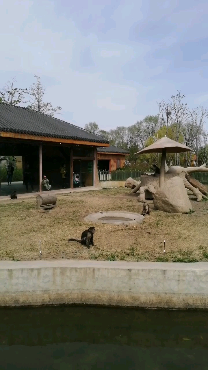 齊齊哈爾 龍沙動植物園