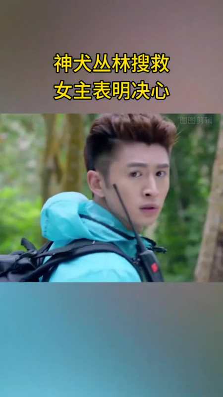 神犬小七2第34集欧叶狠心拒绝小七加入搜救队