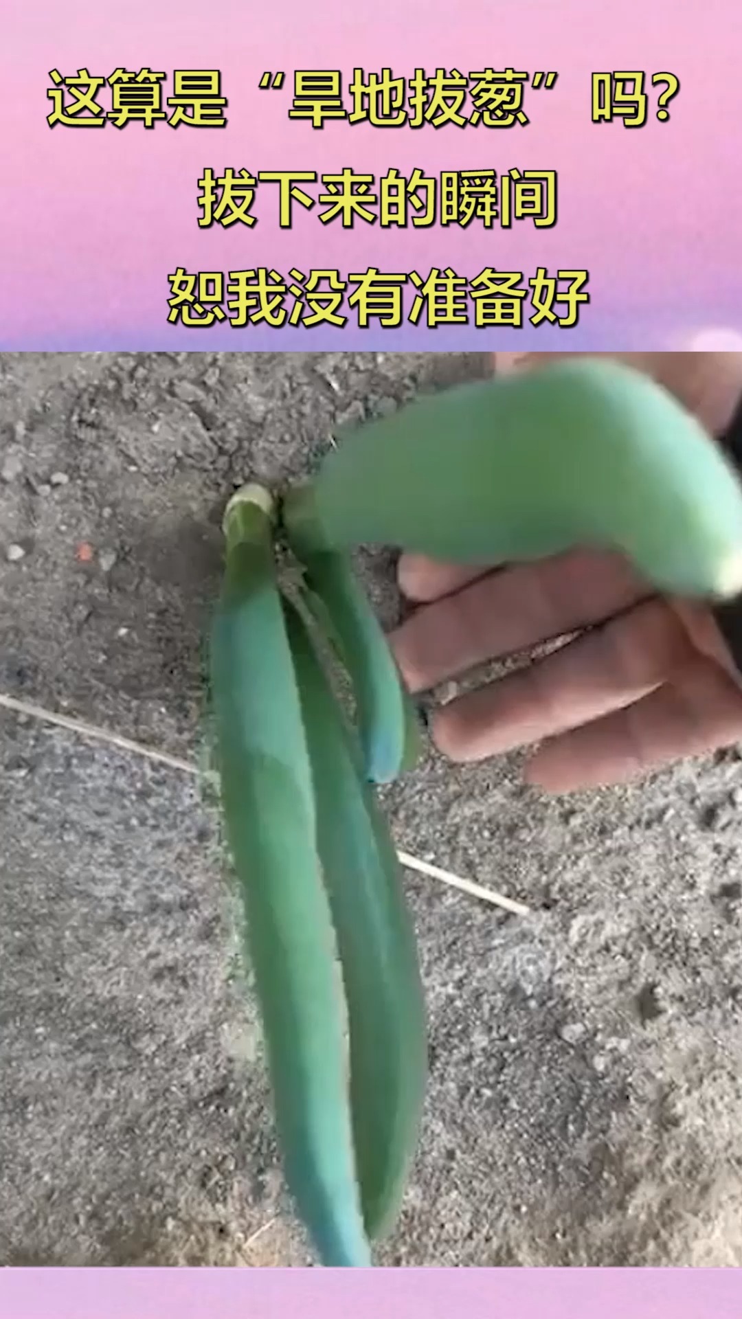 这算是"旱地拔葱"吗?,拔下来的瞬间,恕我没有准备好.