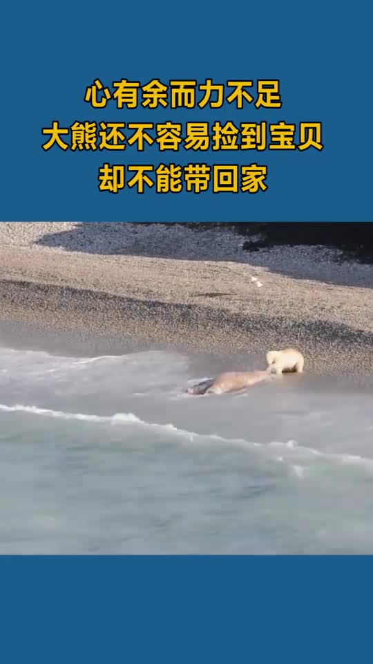 心有余而力不足大雄好不容易见到宝贝却不能带回家