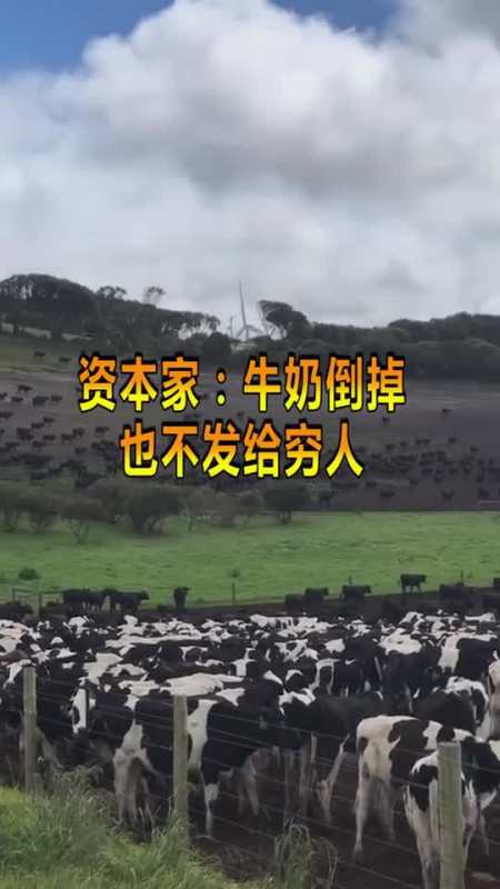 奇闻趣事抢先看把牛奶倒掉也不给穷人资本家太冷血这才是真相