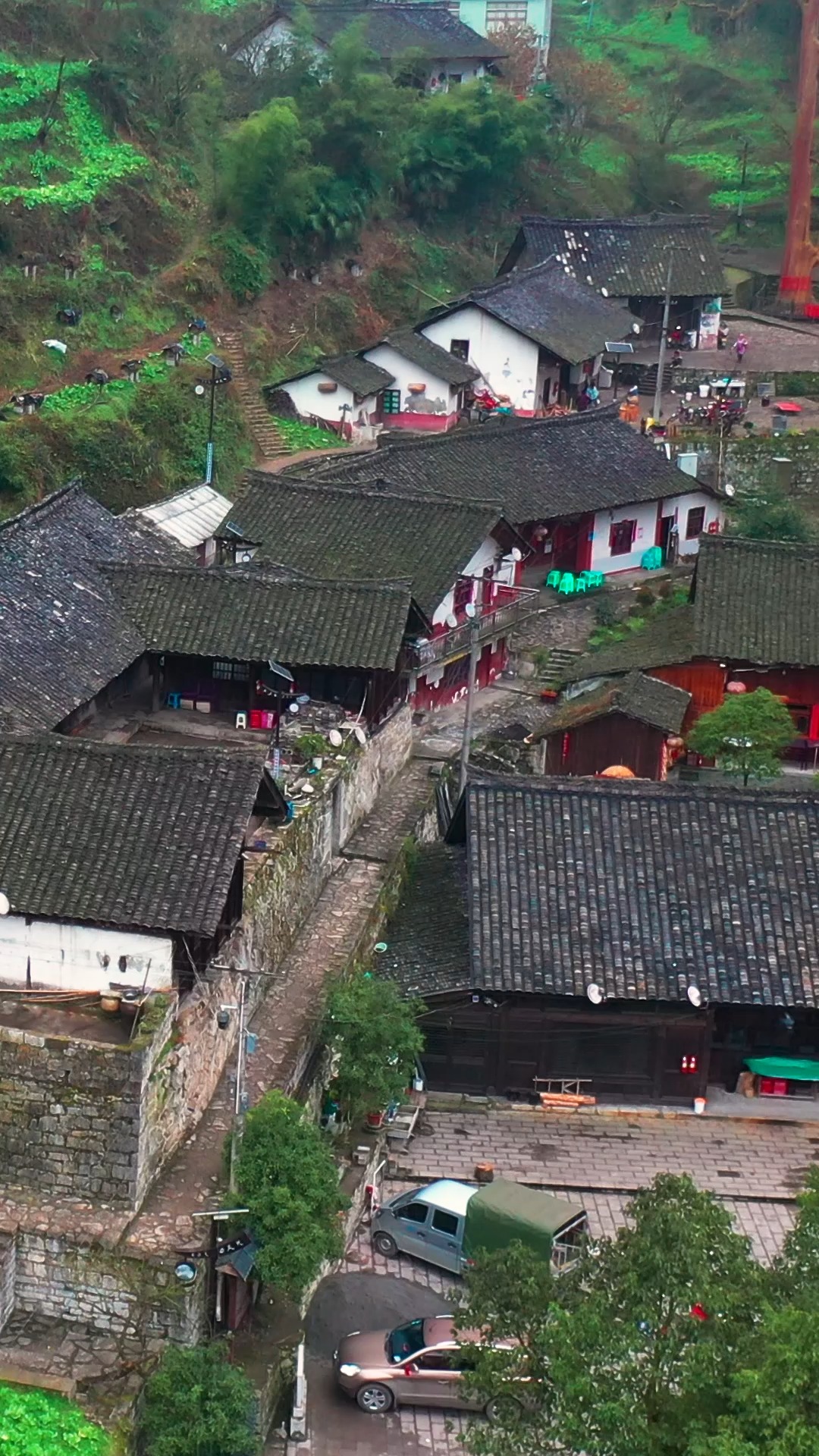 我要上热门#云南威信湾子苗寨,1600余年紫薇守护着传统苗寨-度小视