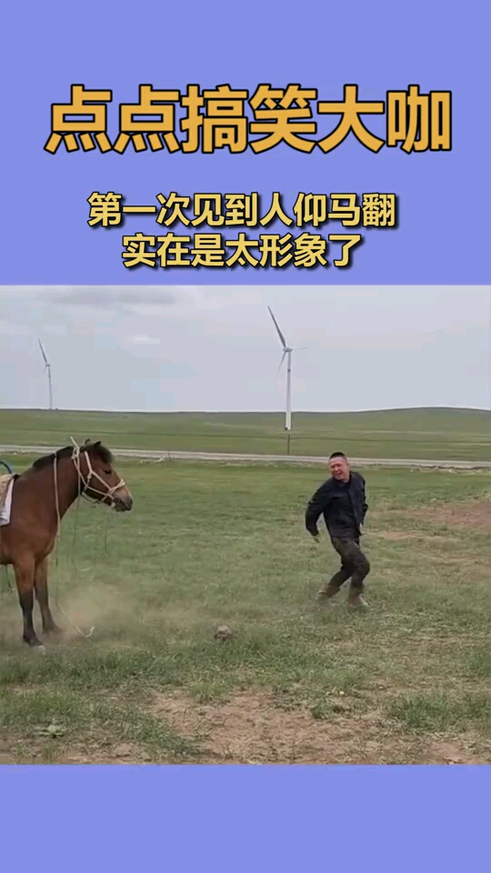 第一次见到人仰马翻实在是太形象了