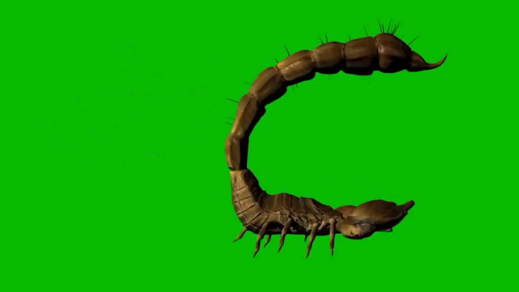 蝎子绿幕特效视频素材