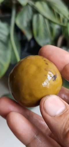 战国红玛瑙原石鸡油黄空心蛋子,可以把玩可以切水晶洞聚宝盆