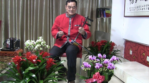 一曲京胡独奏《迎春曲》让我们一起看花,赏景,呼吸春天的空气!