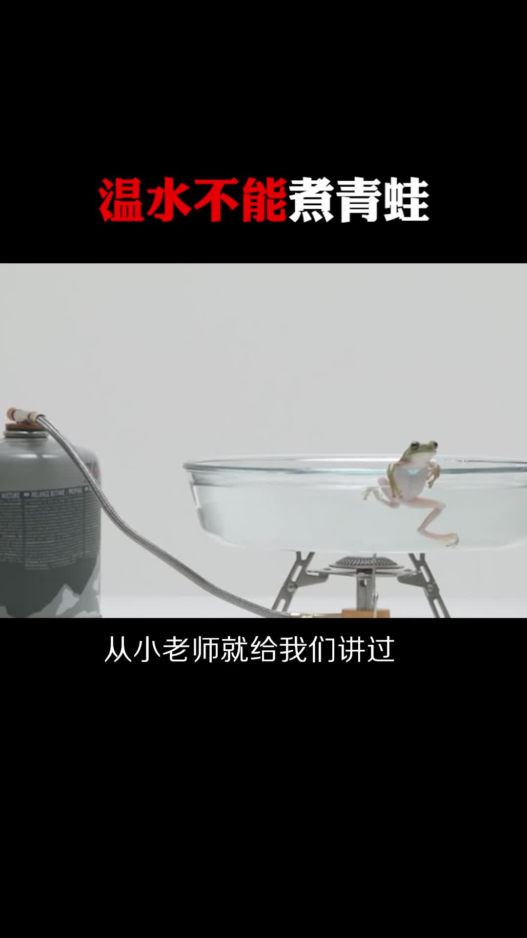 每天一点冷知识#温水不能煮青蛙