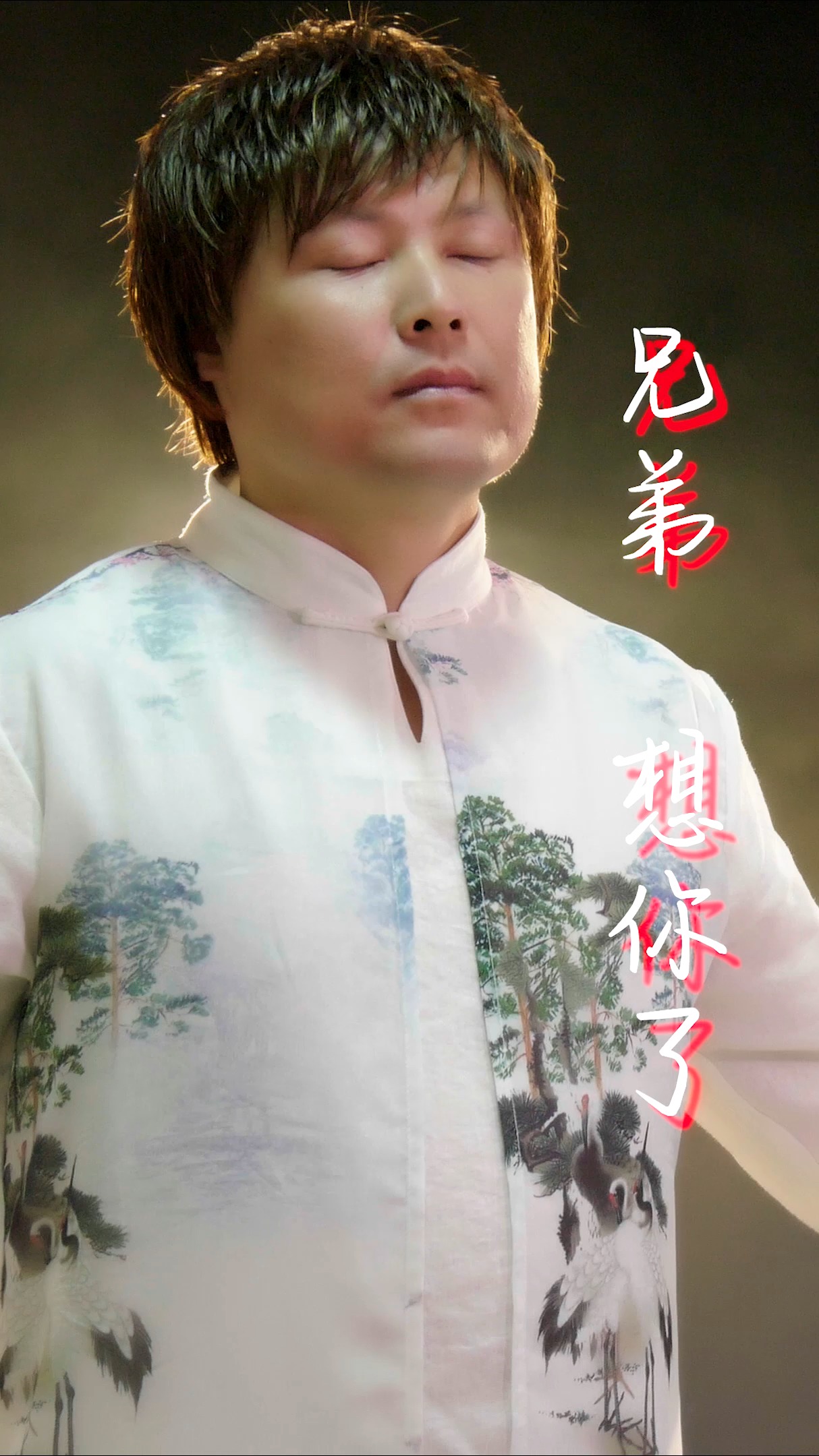 伤感音乐#刘潇《兄弟想你了》好听音乐,男人的歌,魔性让人听不够-度