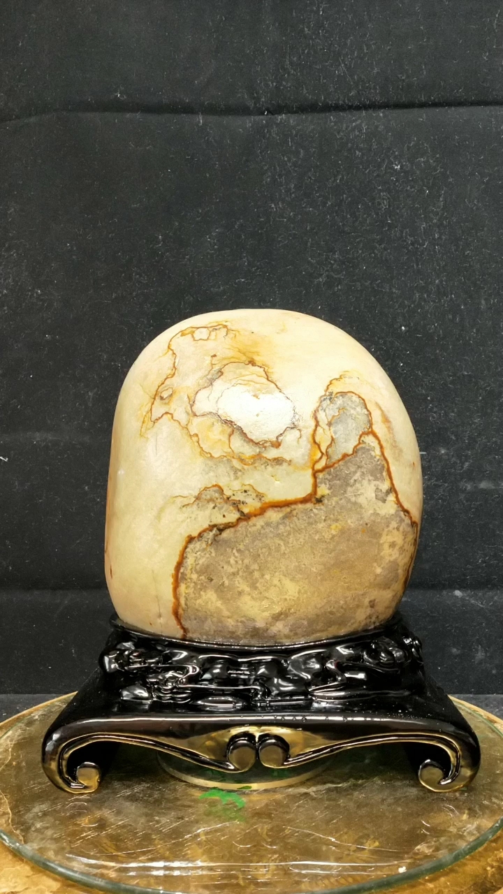 精品  长江碳化石