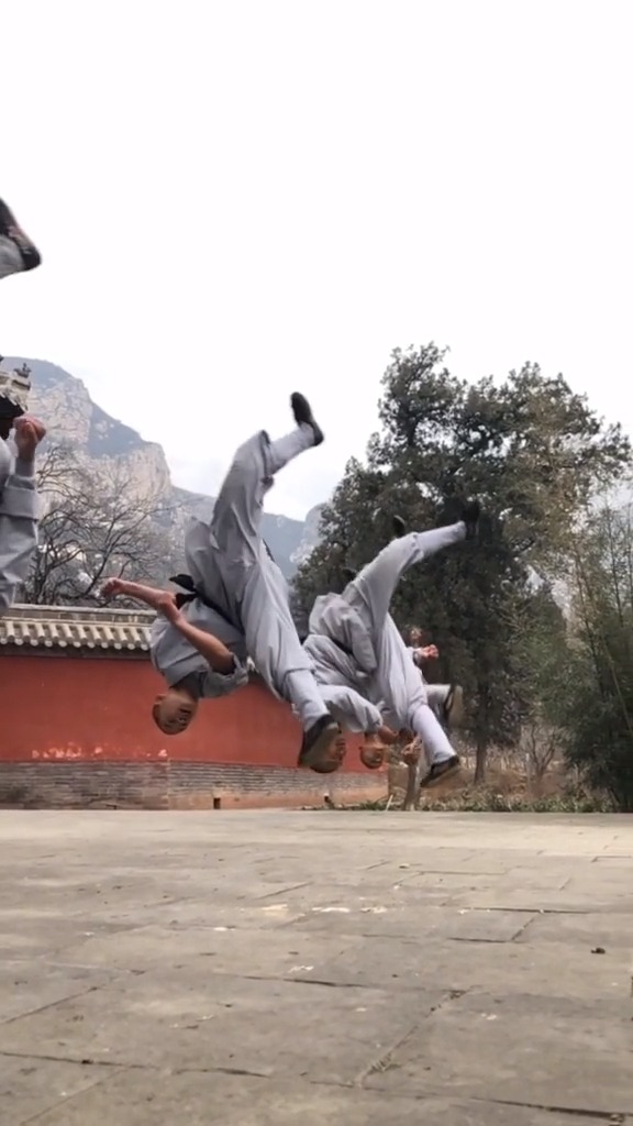 少林功夫#集体晨练,动作整齐划一还是不错的