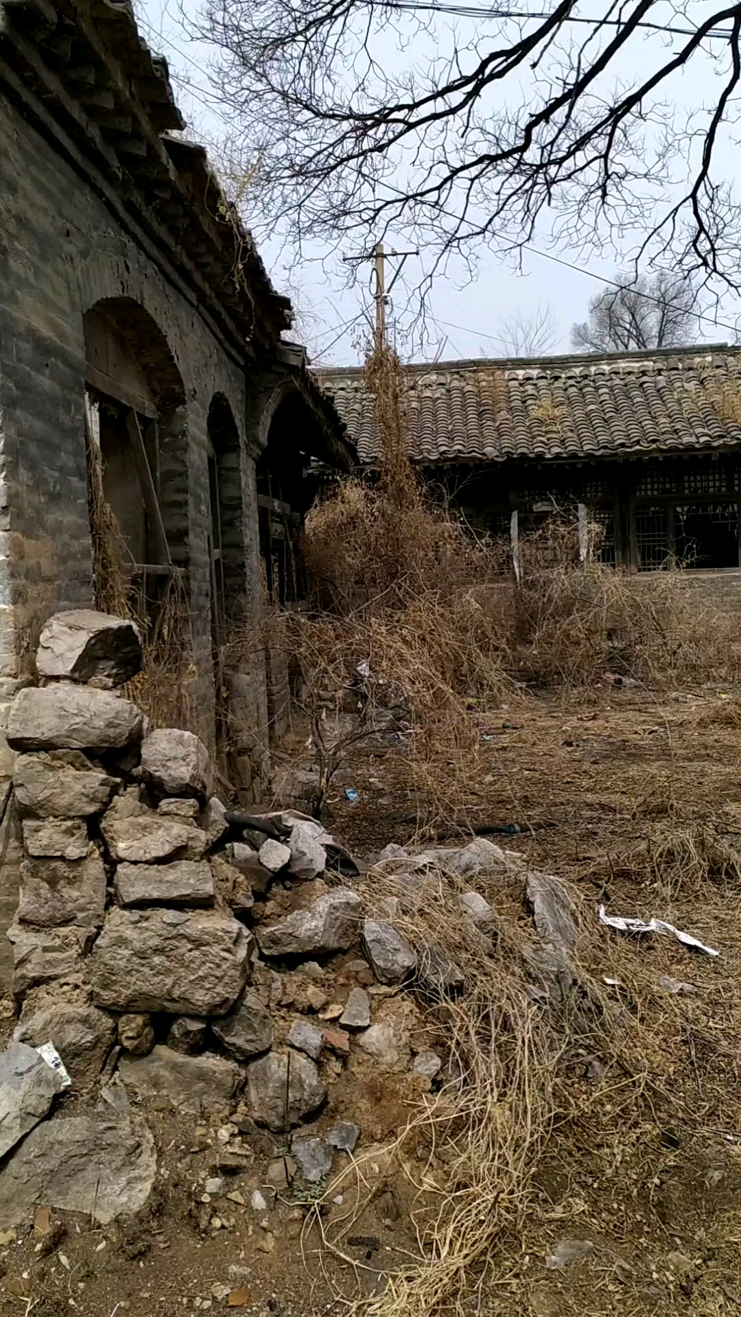残墙,破屋,枯草 苍槐,败枝,孤鸦
