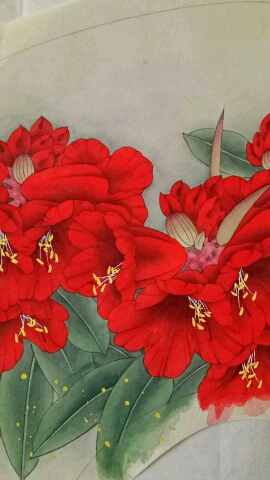 学习工笔画!#工笔画杜鹃