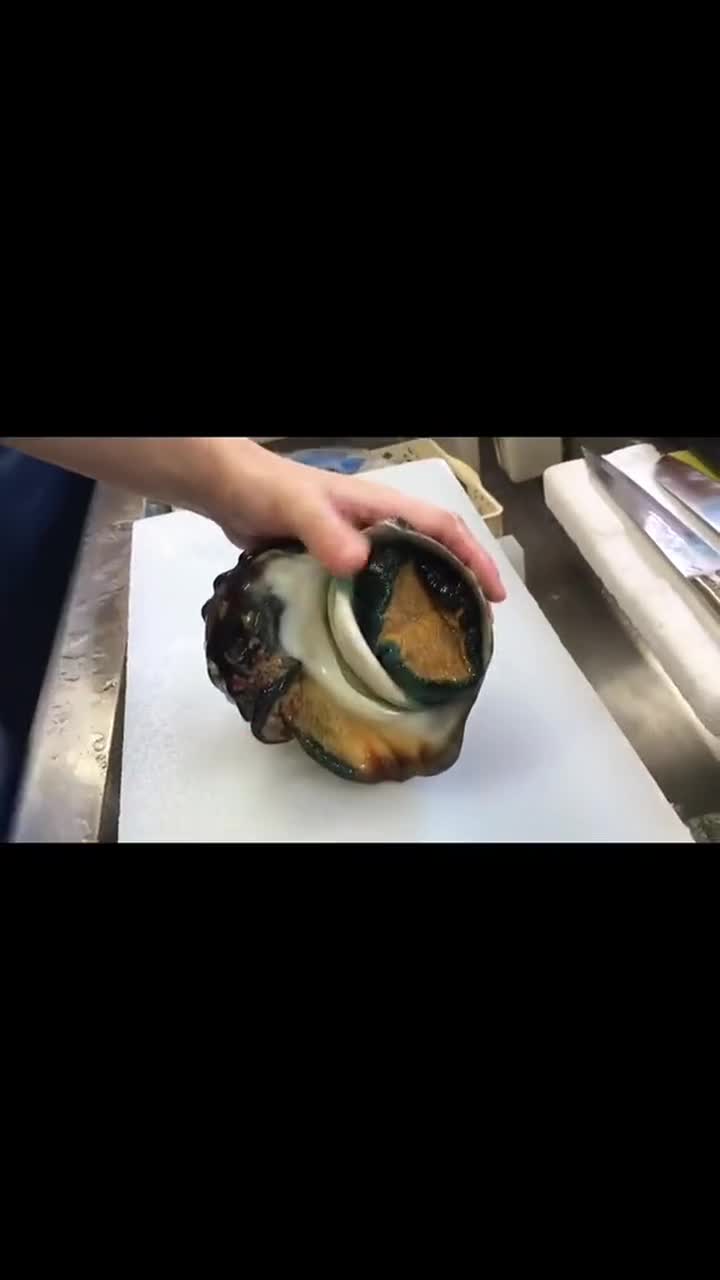 海蜗牛刺身,日本人也是勇猛,现在还敢这么生吃海鲜!