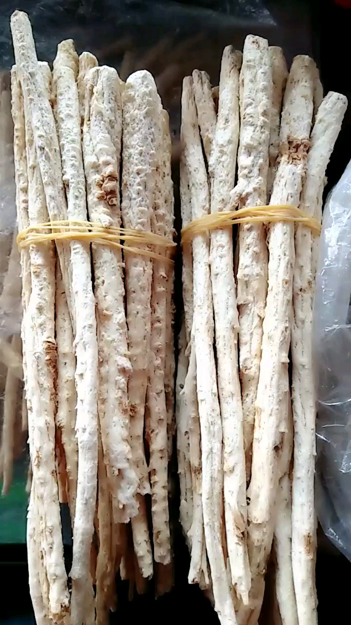 沙参肉竹功效,清热养阴,润肺止咳.主治气管炎,百日咳,肺热咳.