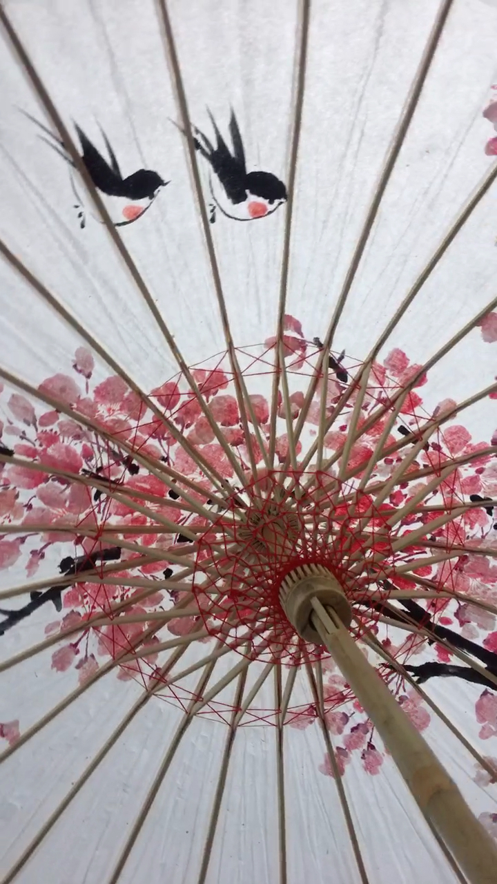 写意樱花燕子,竹纸伞,最美的春天最美的你,需要拥有一柄