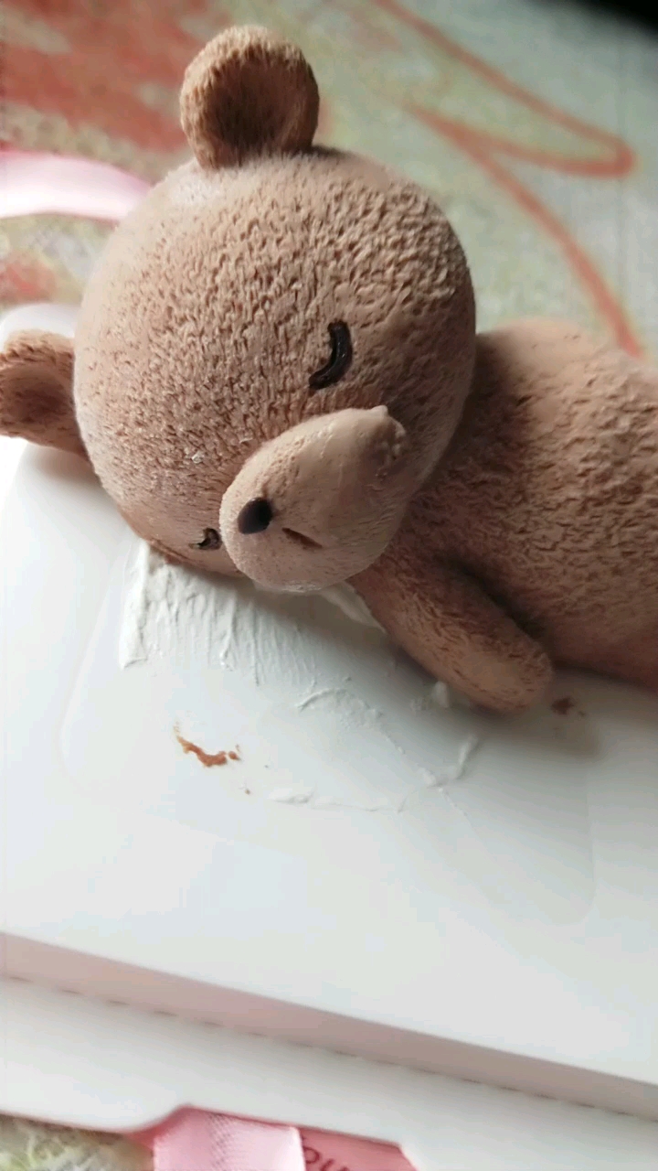 网红趴趴熊  太可爱了