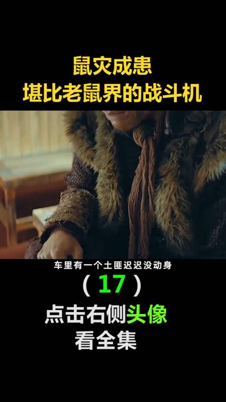 我要上热门#鼠灾成患,堪比老鼠界的战斗机(17)