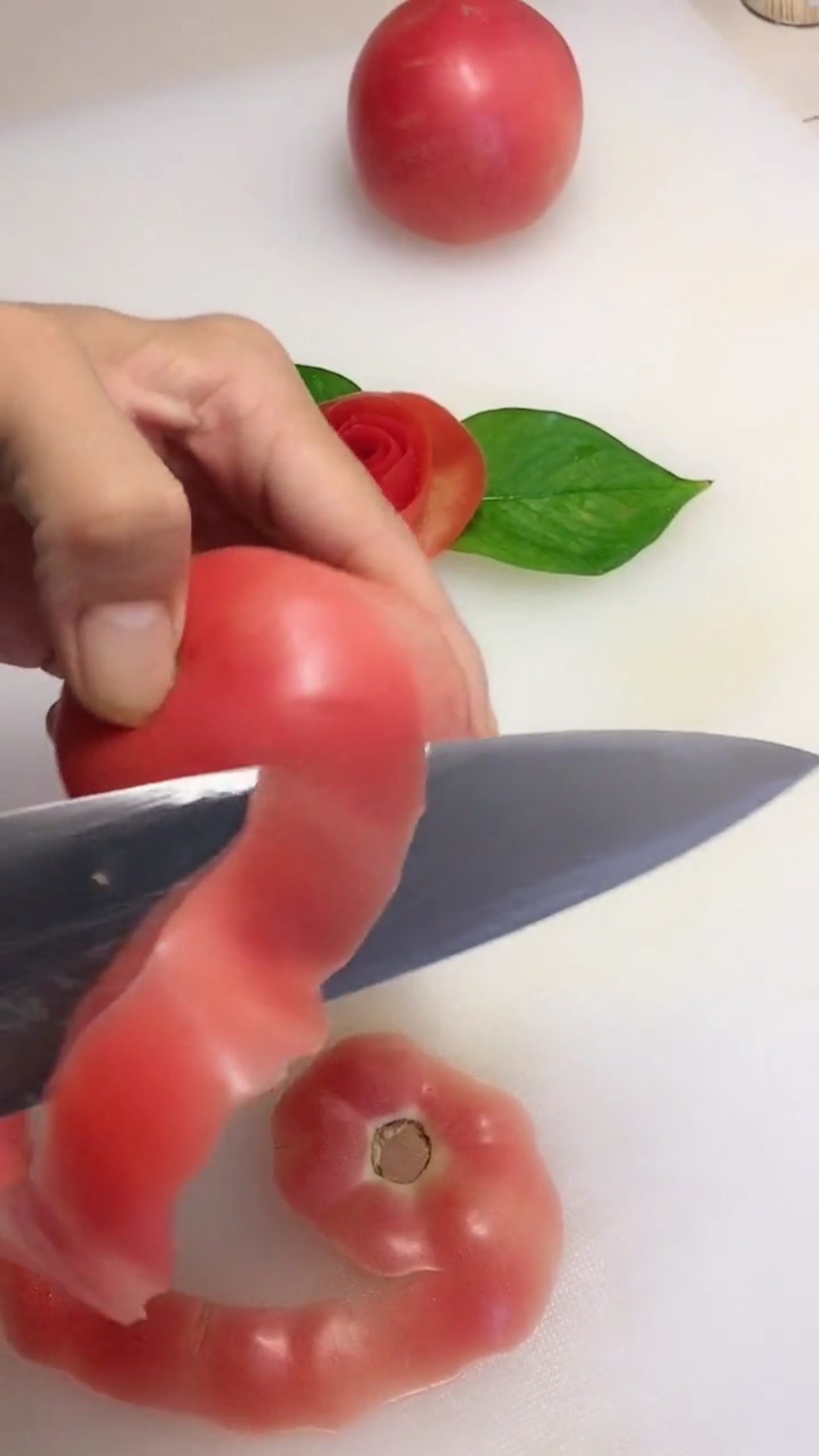 西红柿打叉掐尖图片