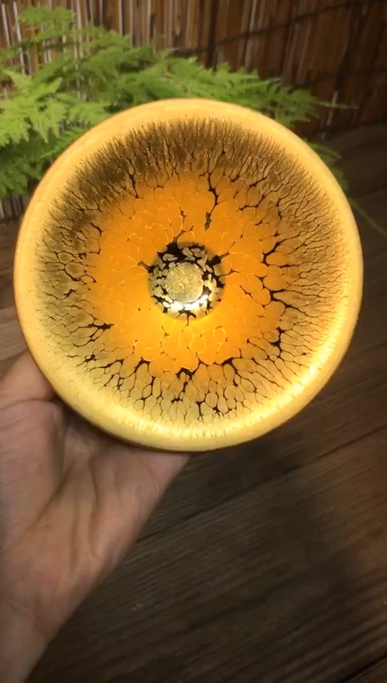 蔡志强金盏大撇口收藏级