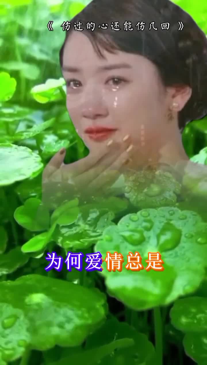 伤过的心还能伤几回伤痕累累的人,不敢再回味