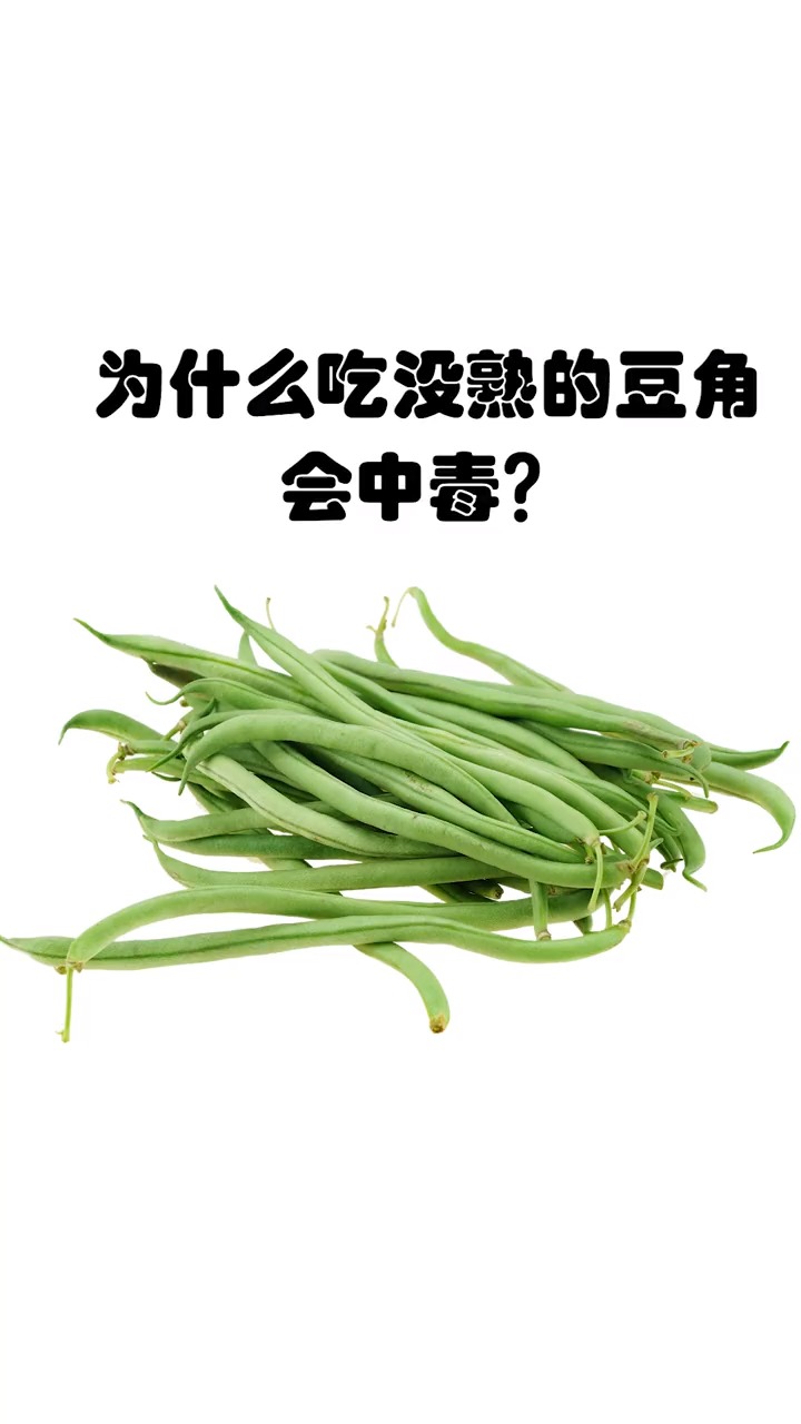 每天一点冷知识为什么吃没熟的豆角会中毒大家要认真的学习一下