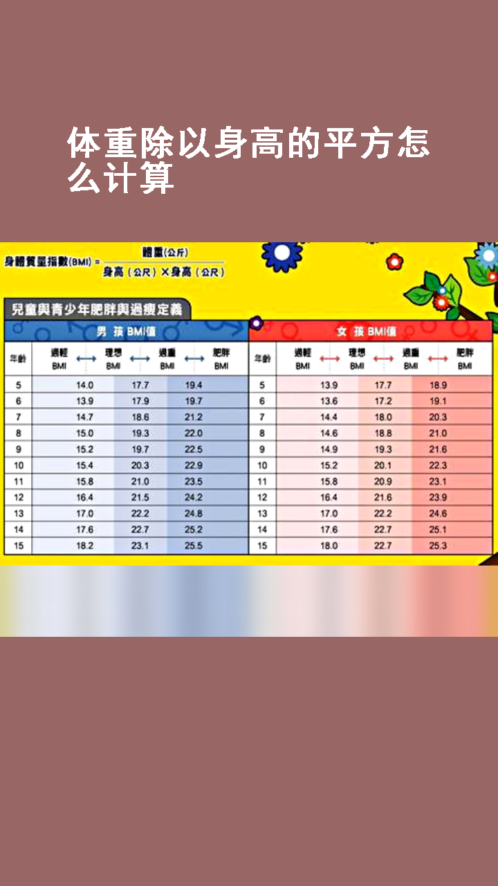 体重除以身高的平方怎么计算