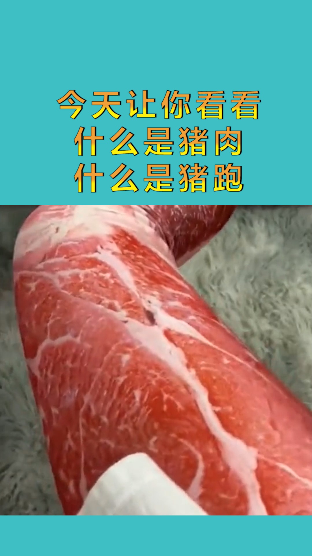 搞笑配音#今天让你看看,什么是猪肉,什么是猪跑!