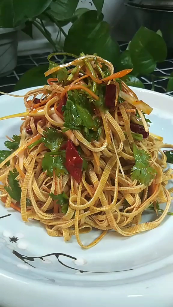 凉拌干豆腐丝,好吃!
