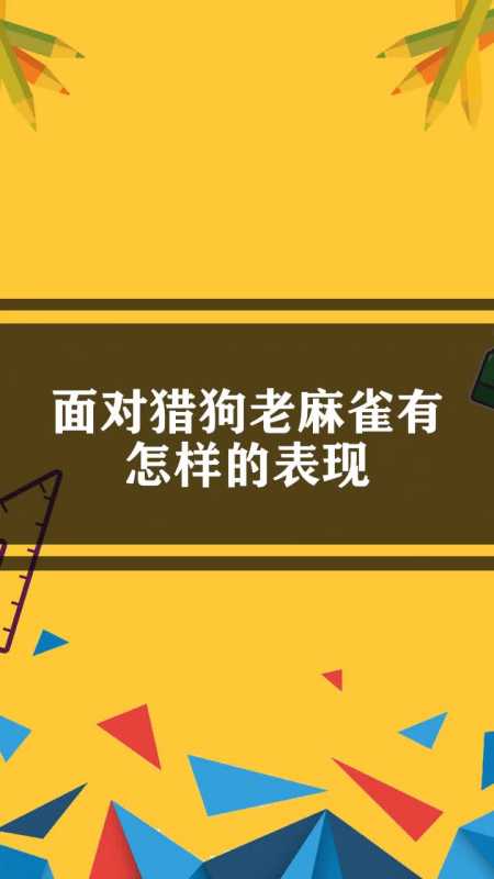 面对猎狗老麻雀有怎样的表现