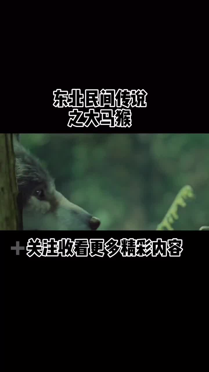 传说中的大马猴惊悚恐怖片