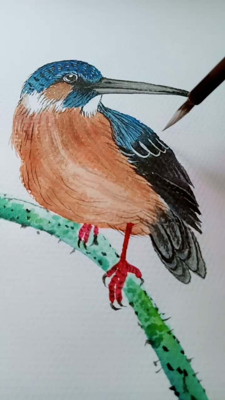 画画原来如此简单#翠鸟手绘教学过程-度小视