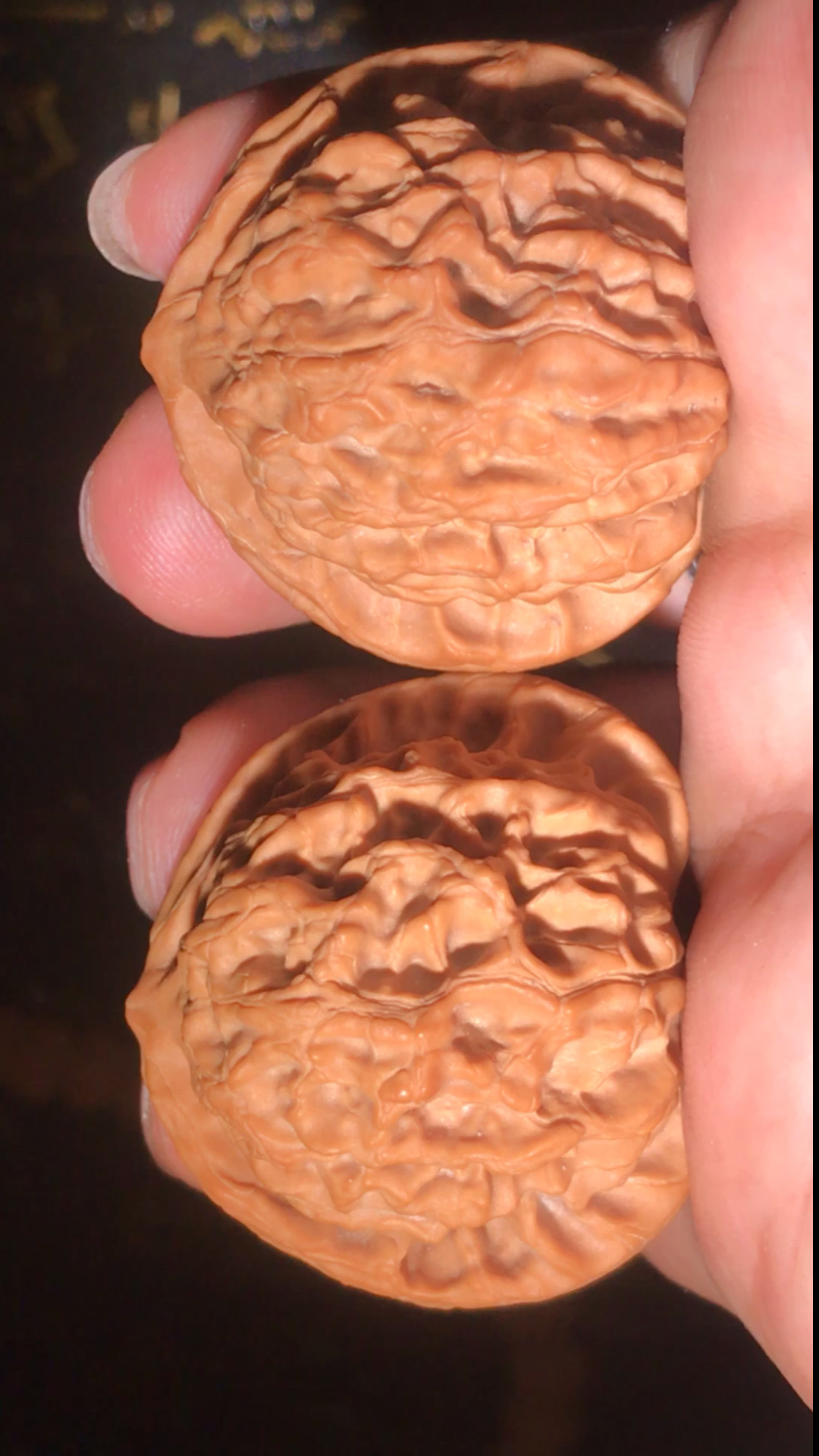 文玩核桃#纯野生品种,凤冠狮子头-度小视