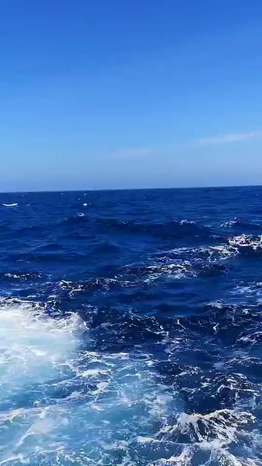 给,你们要的碧波万顷!