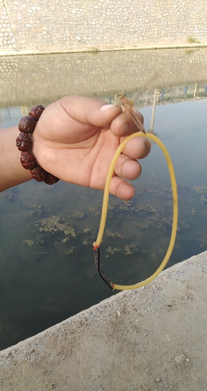 圆皮无架#下飞货没拍到