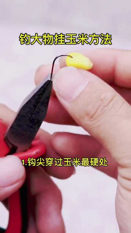 钓大物挂玉米方法#dou是钓鱼人#绑钩#钓鱼教学#钓鱼技巧