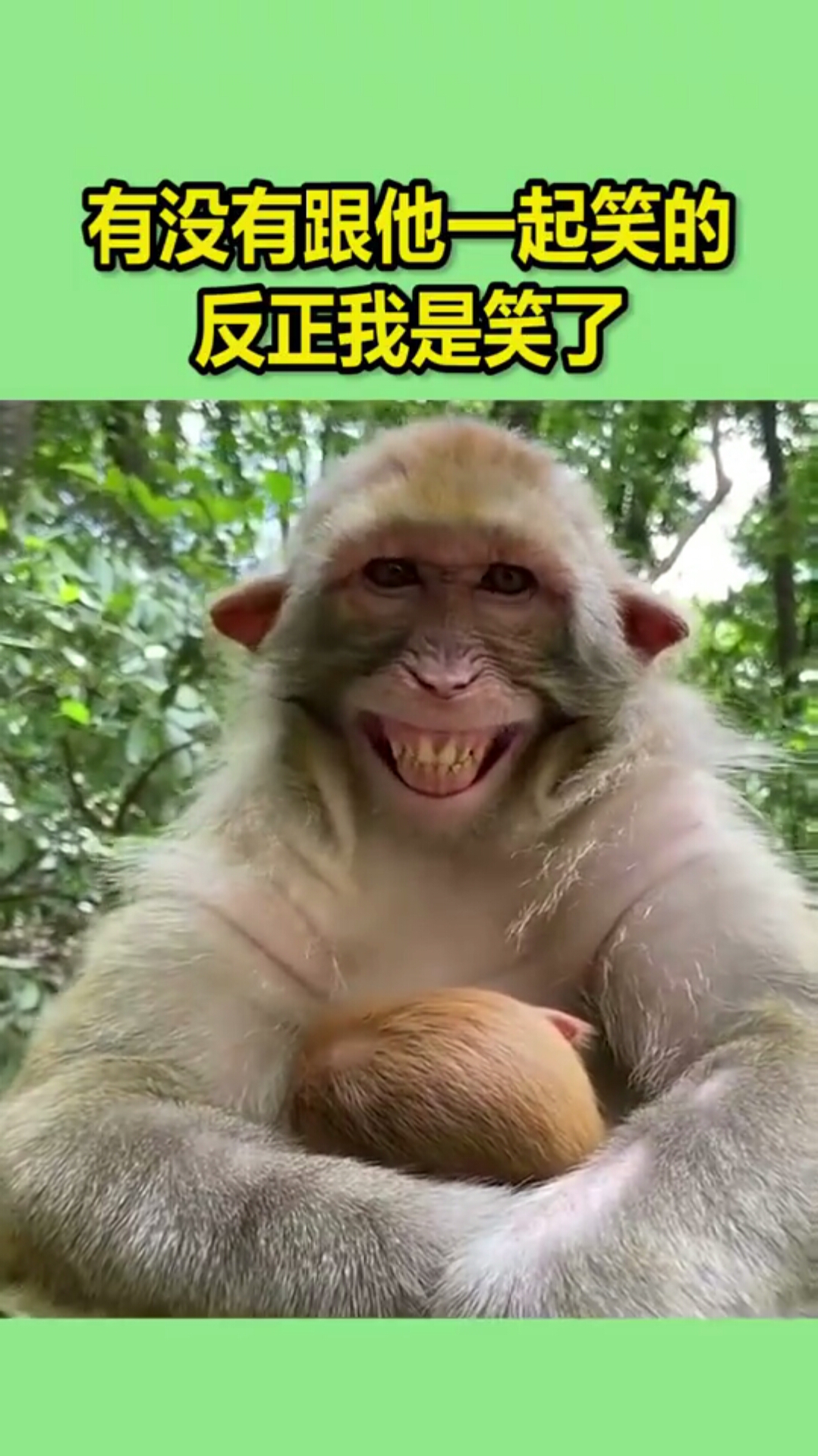 有没有跟他一起笑的,反正我是笑了