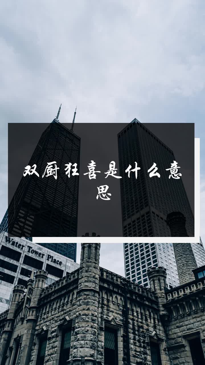 双厨狂喜是什么意思