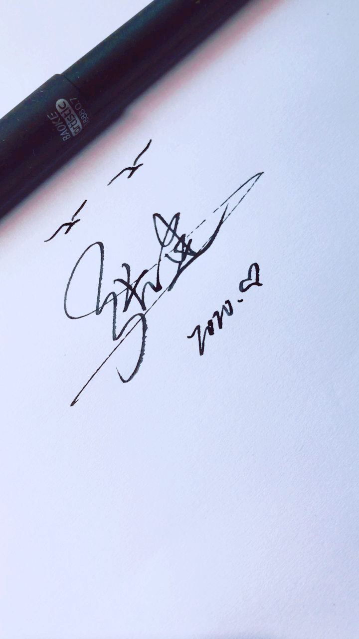 艺术签名#你留名我来写,张建