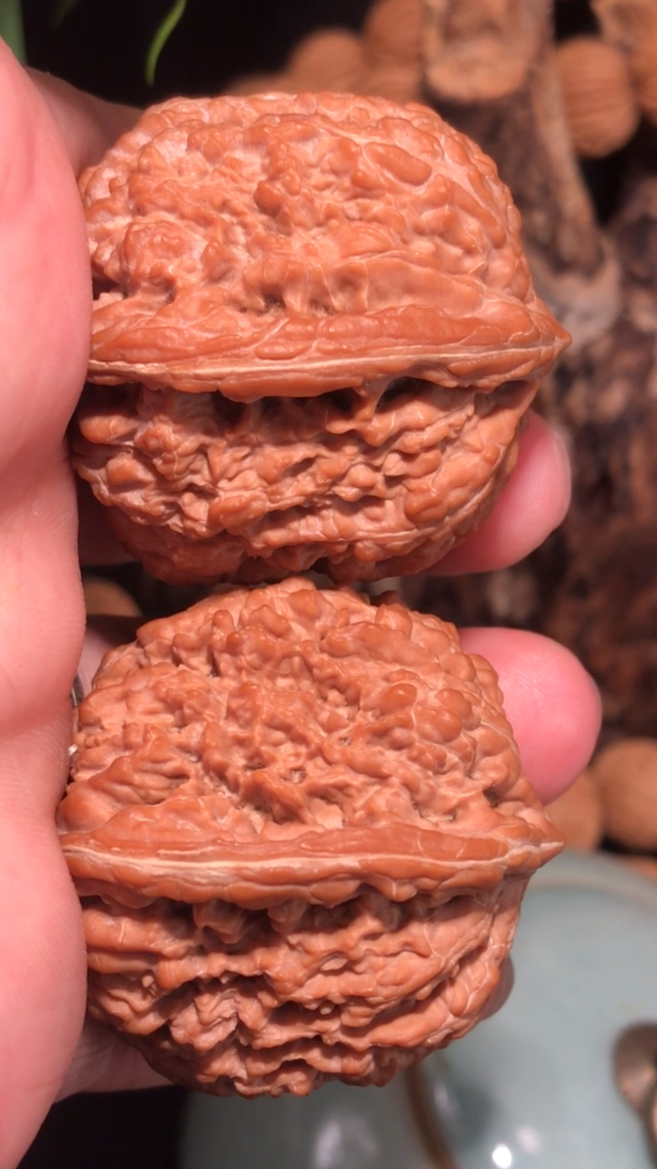 文玩核桃,137狮子头,上手酒红