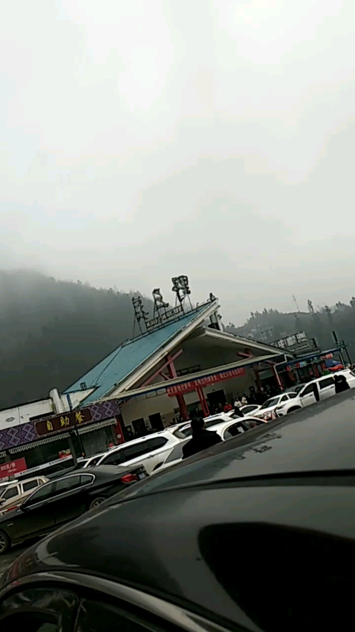 野三关服务区好大的雾啊,跟仙景一样