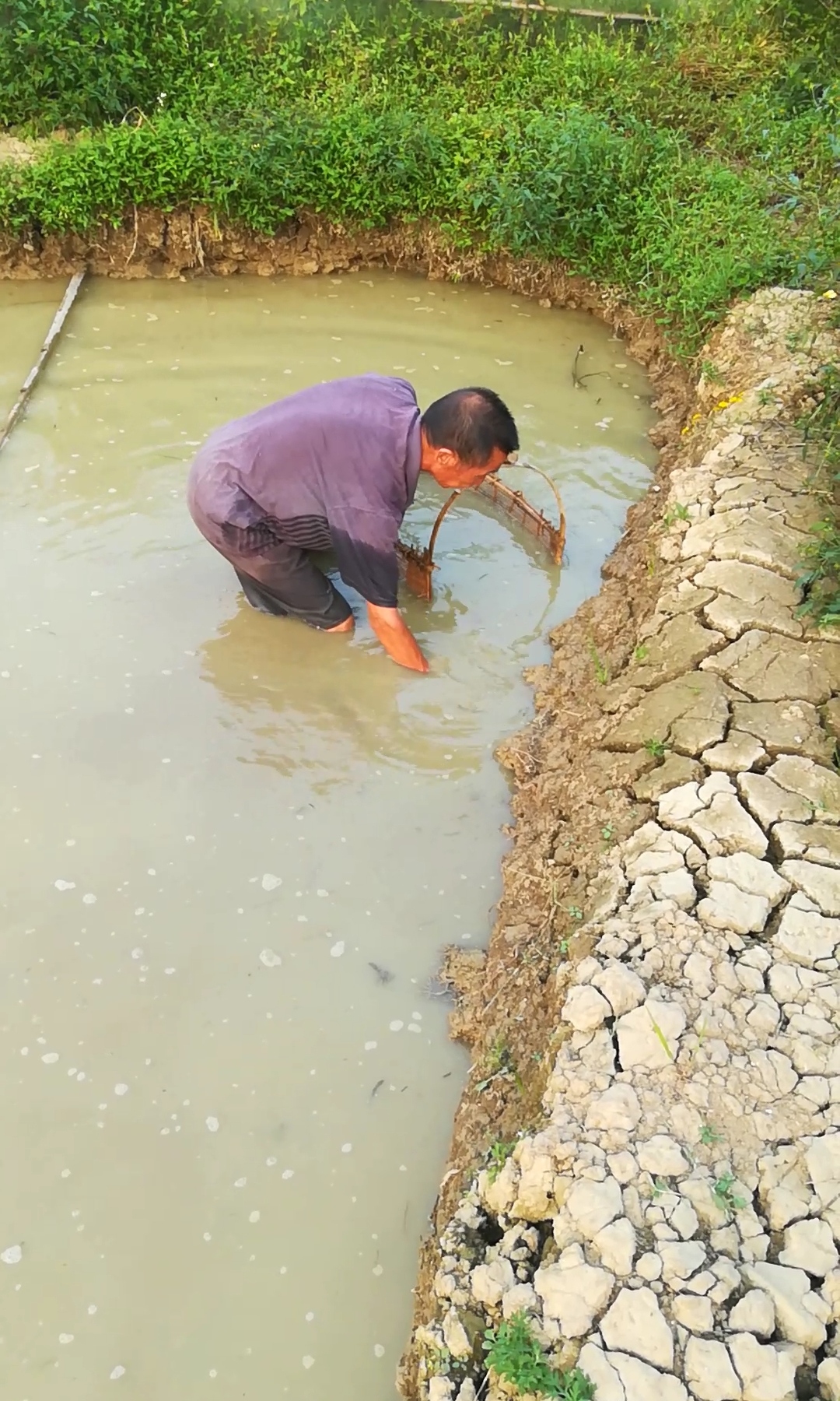 户外抓鱼#浑水摸鱼,儿时的回忆!